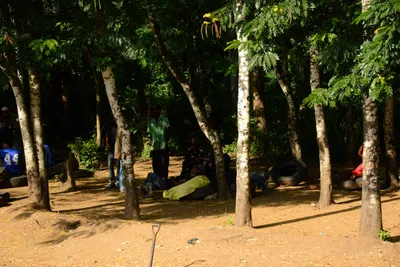 DSC_8456 (Large).JPG